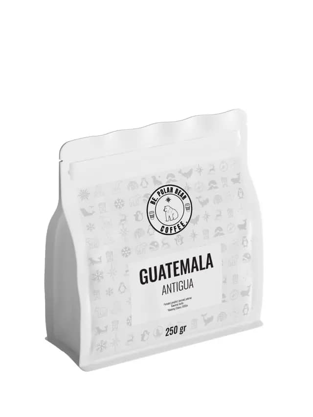 Guatemala Antigua